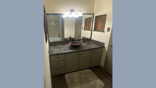Houston 1-story, 4-bed 12323 Ella Lee Lane-idx