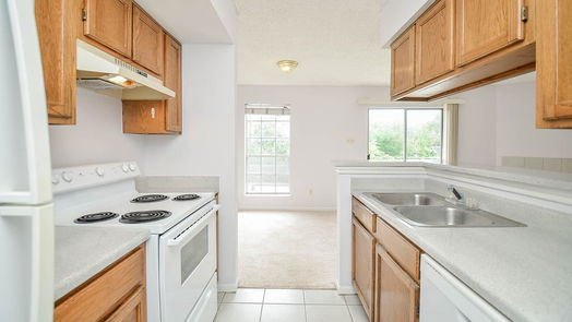 Houston 1-story, 1-bed 12550 Whittington Drive 309-idx