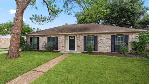 Houston 1-story, 4-bed 2219 Briarview Drive-idx