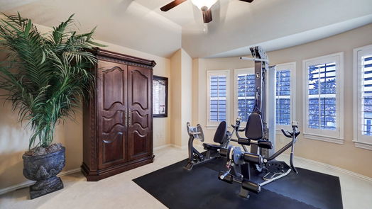 Houston 2-story, 5-bed 2015 Cresent Palm Court-idx