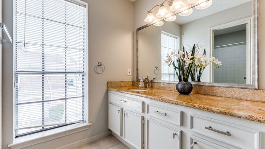 Houston 2-story, 2-bed 800 Country Place Drive 703-idx