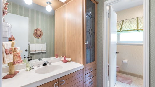 Houston 1-story, 4-bed 818 Thicket Lane-idx