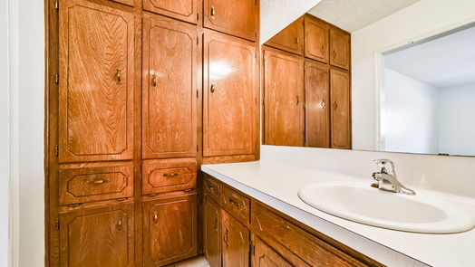 Houston 1-story, 3-bed 9411 Railton Street-idx