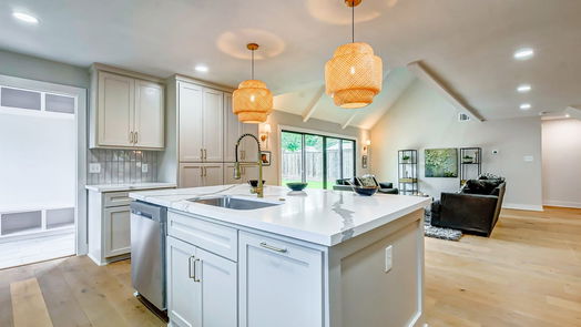 Houston 2-story, 4-bed 2507 Southwick Street-idx