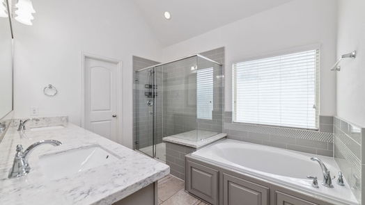Houston 3-story, 4-bed 9926 Spring Shadows Park Circle-idx