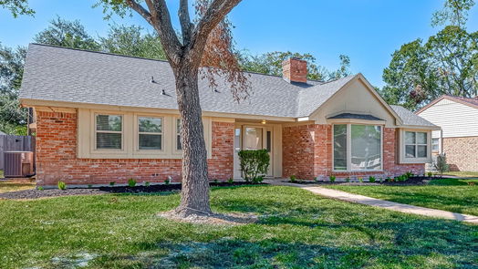 Houston 1-story, 3-bed 2519 Parana Drive-idx