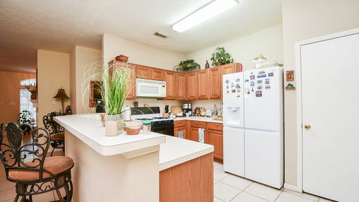 Houston 1-story, 3-bed 15918 Timber Run Drive-idx