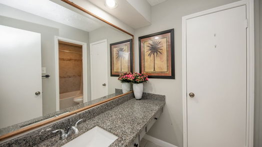 Houston 1-story, 3-bed 12803 Maxfield Drive-idx