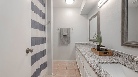 Houston 1-story, 3-bed 3155 Hazel Park Drive-idx