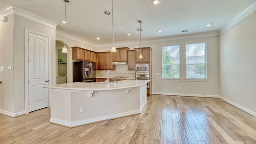 Houston 3-story, 4-bed 12261 Oxford Crescent Circle-idx