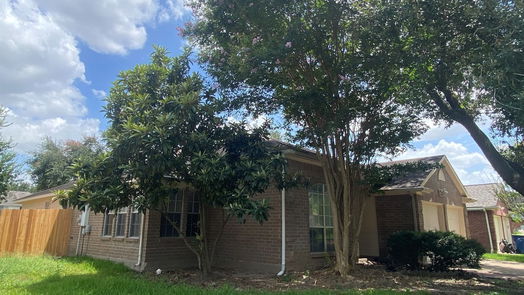 Houston 1-story, 3-bed 3211 Sapling Oak Drive-idx