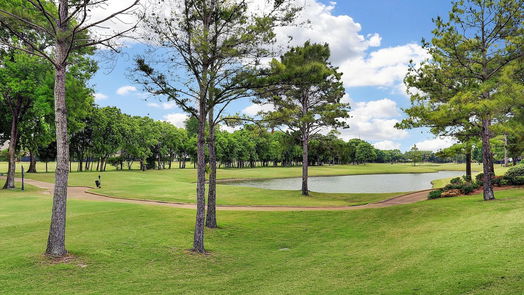 Houston 2-story, 4-bed 3006 Rosemary Park Lane-idx