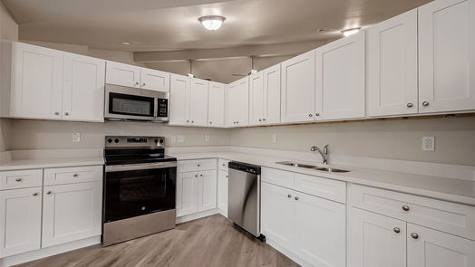Houston null-story, 4-bed 3715 Camphor Drive-idx