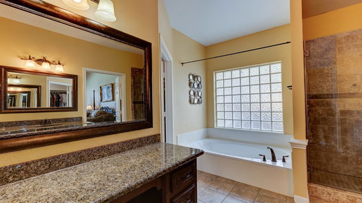 Houston 2-story, 4-bed 3503 Shadow Spring Court-idx