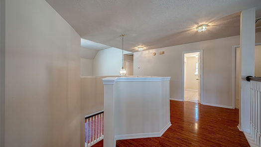 Houston 2-story, 4-bed 2907 Little Branch Court-idx