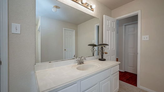 Houston 2-story, 4-bed 2907 Little Branch Court-idx