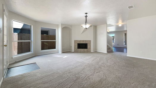 Houston 2-story, 4-bed 3014 Palace Oaks Drive-idx