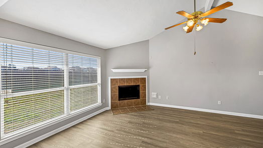 Houston 1-story, 4-bed 17335 Trace Glen Lane-idx