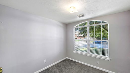 Houston 1-story, 4-bed 17335 Trace Glen Lane-idx