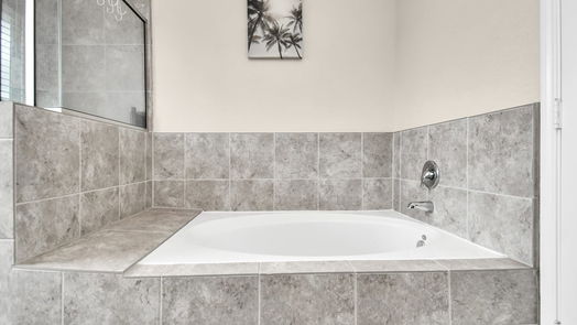 Houston 2-story, 4-bed 14238 Empanada Drive-idx