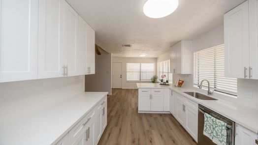 Houston 1-story, 4-bed 14819 Delbarton Drive-idx