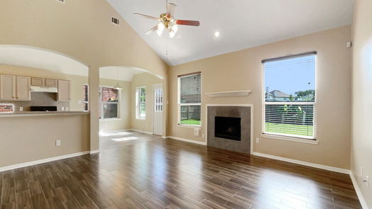 Houston 2-story, 4-bed 8307 Indigo Villa Lane-idx