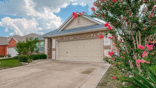 Houston 1-story, 4-bed 8923 Willow Wind Lane-idx