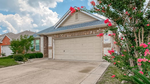 Houston 1-story, 4-bed 8923 Willow Wind Lane-idx