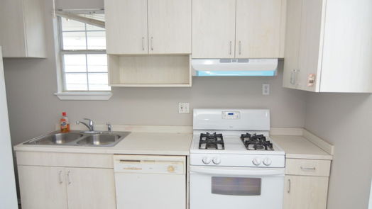 Houston 2-story, 3-bed 13826 Trumpetvine Street-idx