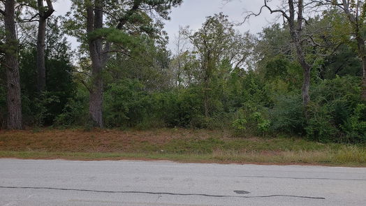 Houston null-story, null-bed 17814 French Road-idx
