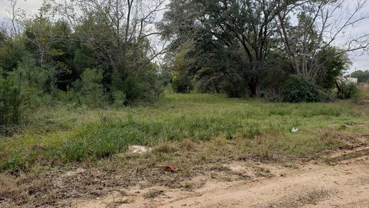 Houston null-story, null-bed 17814 French Road-idx