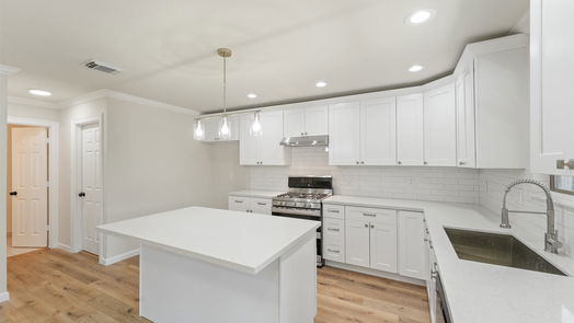 Houston 2-story, 4-bed 15119 Weeping Cedar Lane-idx