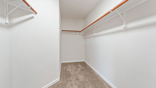 Houston 2-story, 4-bed 15119 Weeping Cedar Lane-idx
