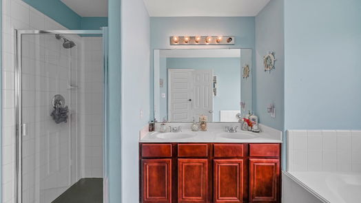 Houston 2-story, 4-bed 17339 Indigo Mist Court-idx