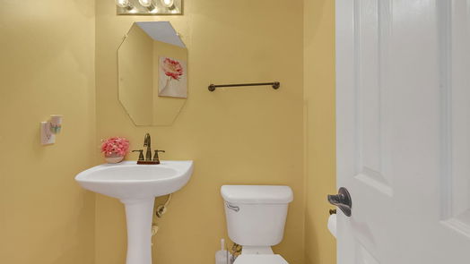 Houston 2-story, 4-bed 17339 Indigo Mist Court-idx