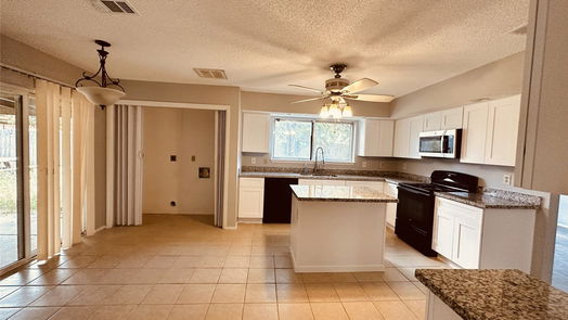 Houston 2-story, 4-bed 4707 Cairnsean Street-idx