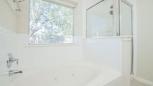 Houston 1-story, 3-bed 17714 Delta Springs Lane-idx