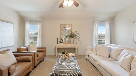 Houston 2-story, 4-bed 5003 Mosspine Court-idx