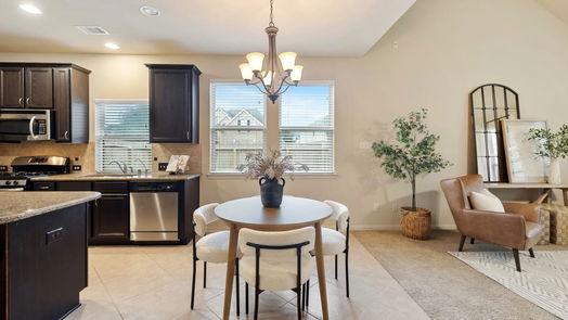 Houston 2-story, 4-bed 5003 Mosspine Court-idx