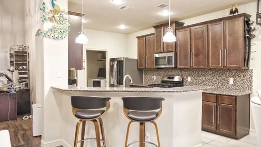 Houston 2-story, 4-bed 4218 Great Bear Place-idx