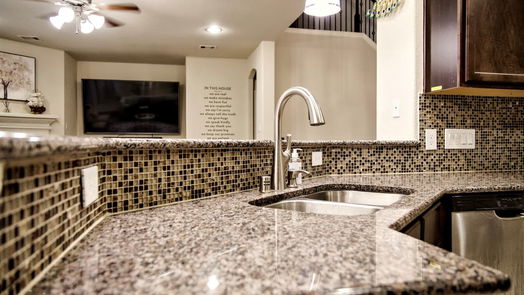 Houston 2-story, 4-bed 4218 Great Bear Place-idx