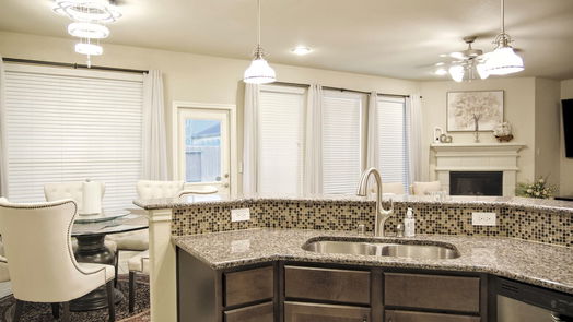 Houston 2-story, 4-bed 4218 Great Bear Place-idx