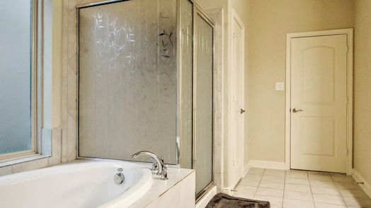 Houston 2-story, 4-bed 4218 Great Bear Place-idx