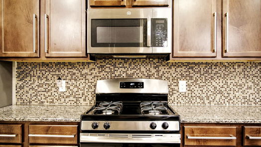 Houston 2-story, 4-bed 4218 Great Bear Place-idx