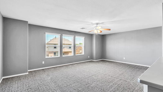 Houston 2-story, 4-bed 4910 Climbing Ivy Circle-idx