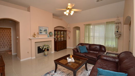 Houston 1-story, 4-bed 19011 Appletree Hill Lane-idx