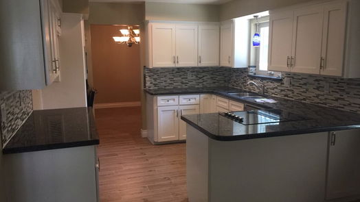 Houston 1-story, 3-bed 15810 Sandy Hill Drive-idx