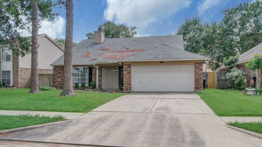 Houston null-story, 3-bed 18155 Holly Green Drive-idx