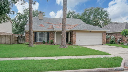 Houston 1-story, 3-bed 18155 Holly Green Drive-idx