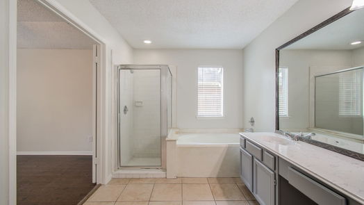 Houston 1-story, 3-bed 18155 Holly Green Drive-idx